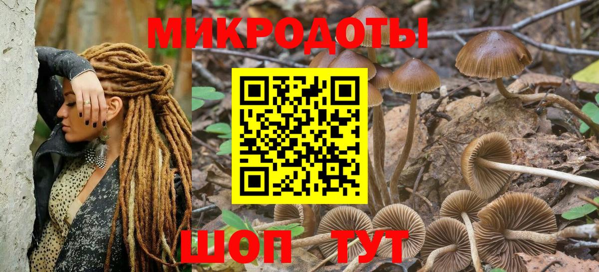 Кашира  Галлюциногенные грибы мицелий  Галлюциногенные грибы Cubensis  Вход с VPN 