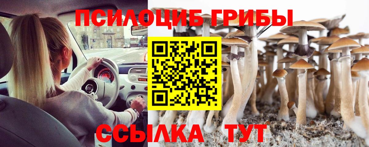 Псилоцибиновые грибы MAGIC MUSHROOMS Кашира
